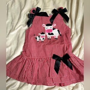 Size 2T Dress Cow Appliqué  “Lil‎ Cactus” Lined Red White Gingham
